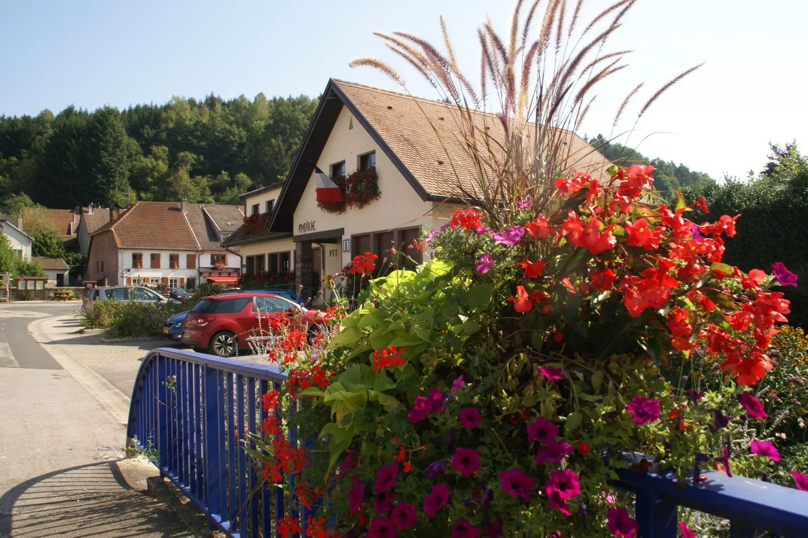 Maison de vacances - TURQUESTEIN BLANCRUPT-Gebieden zomer 5km