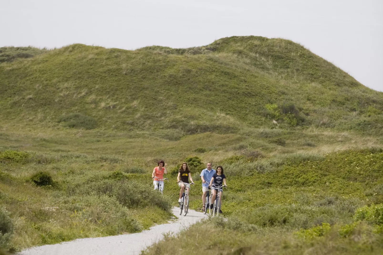 Residentie Californië 9-Gebieden zomer 1km