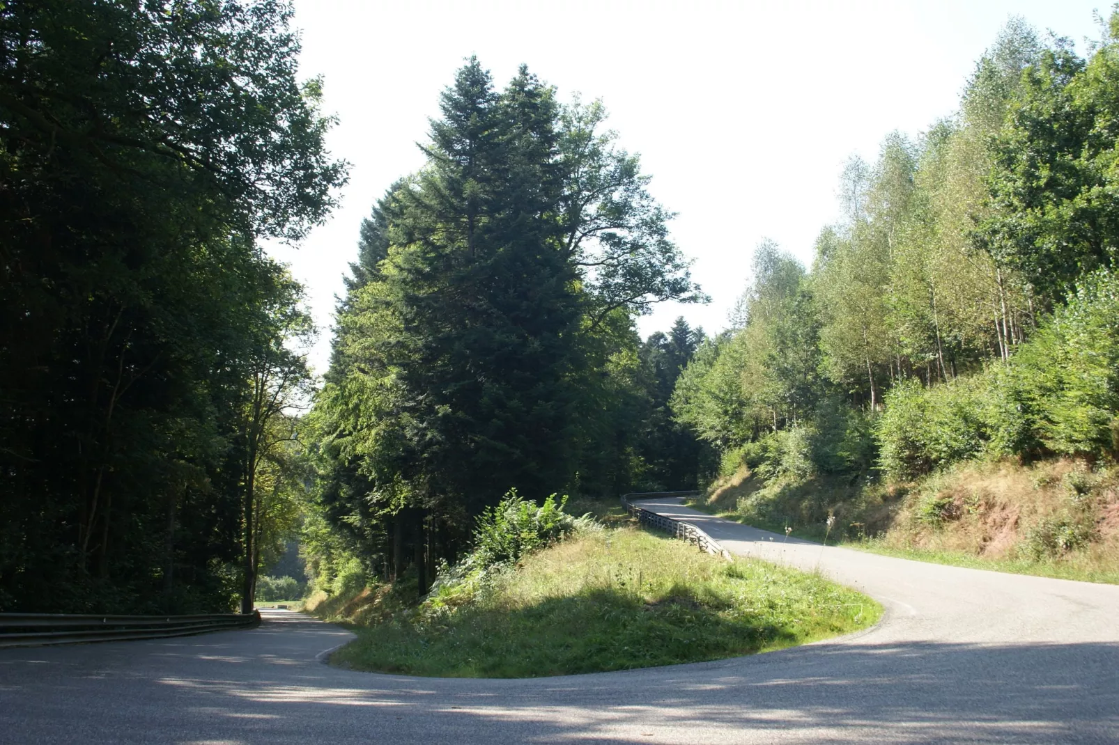 Maison de vacances - TURQUESTEIN BLANCRUPT-Gebieden zomer 5km