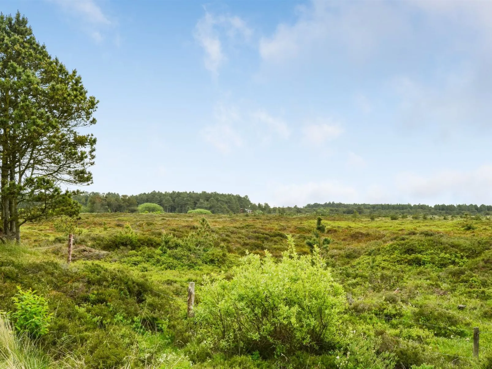 "Alfwin" - 3km from the sea-Buiten
