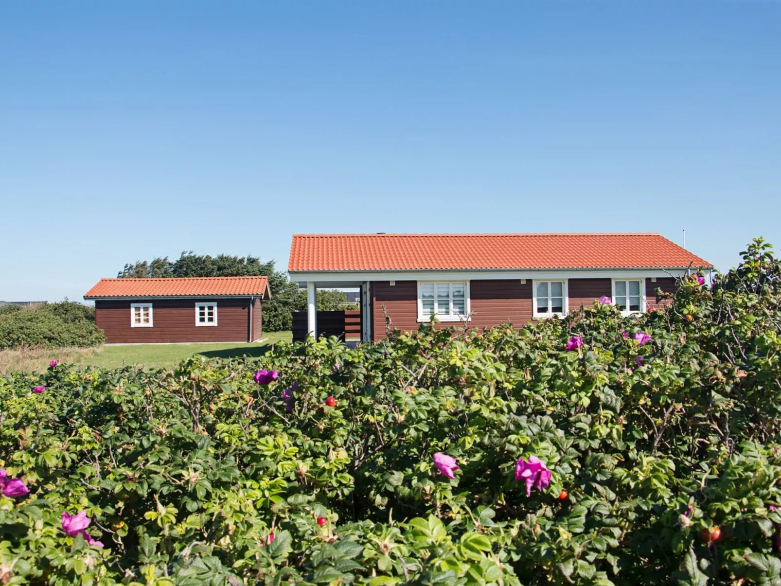 "Armgard" - 300m from the sea-Buiten