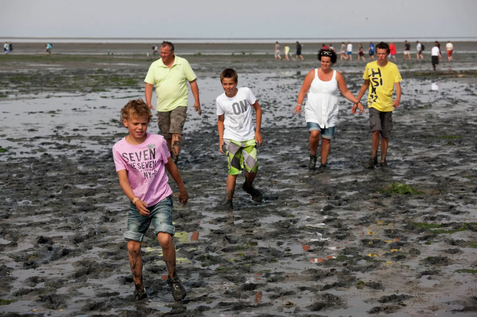 't Hoogelandt 2-Gebieden zomer 5km