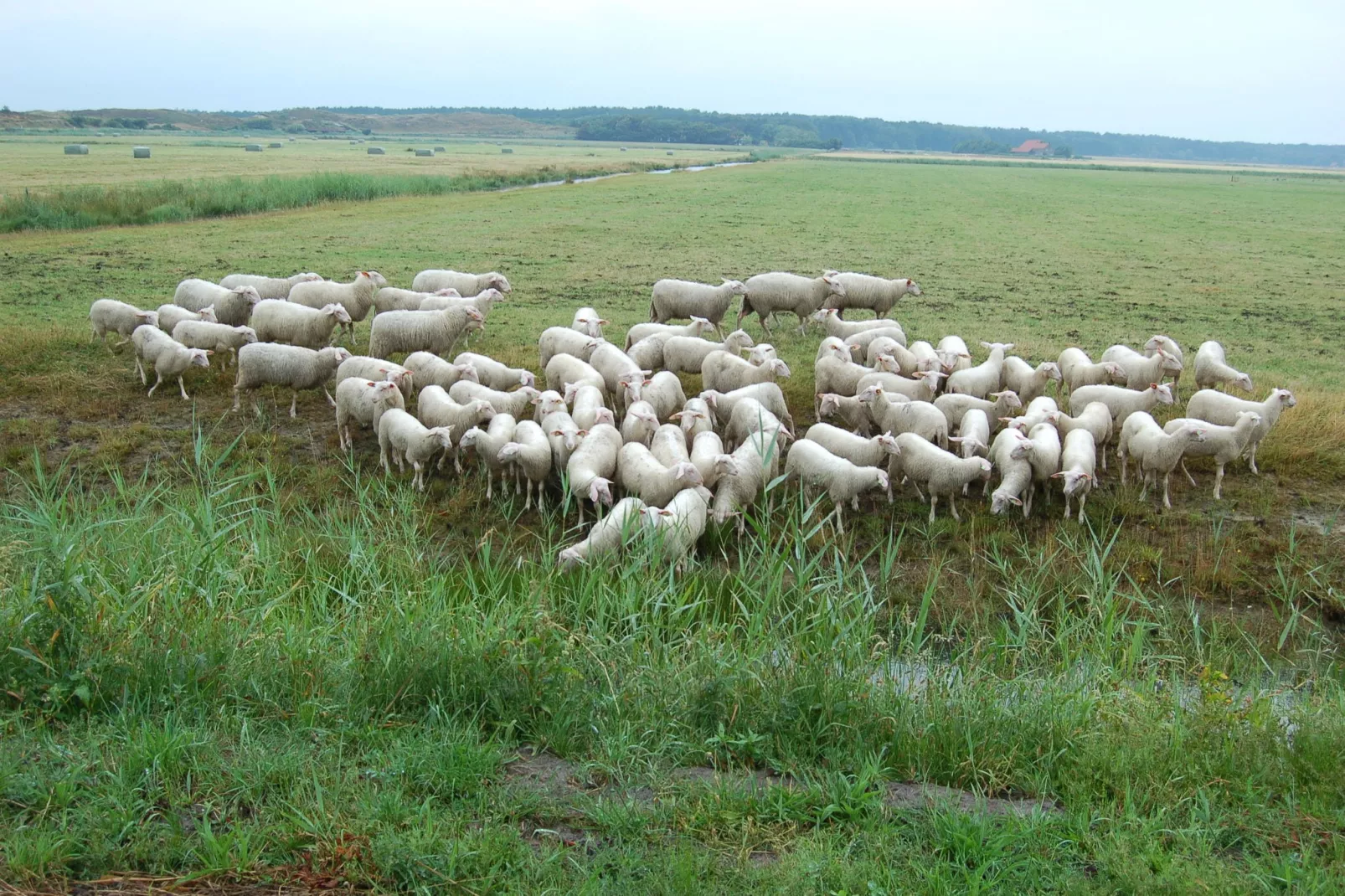 Kustpark Texel 6-Gebieden zomer 5km