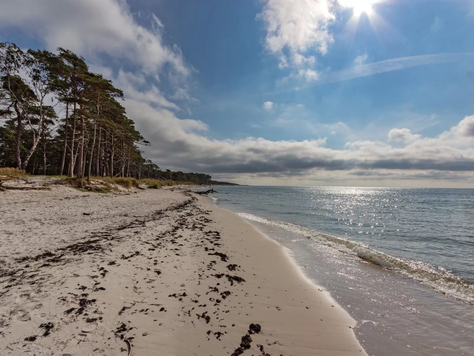 "Hildegerd" - 500m from the sea-Binnen