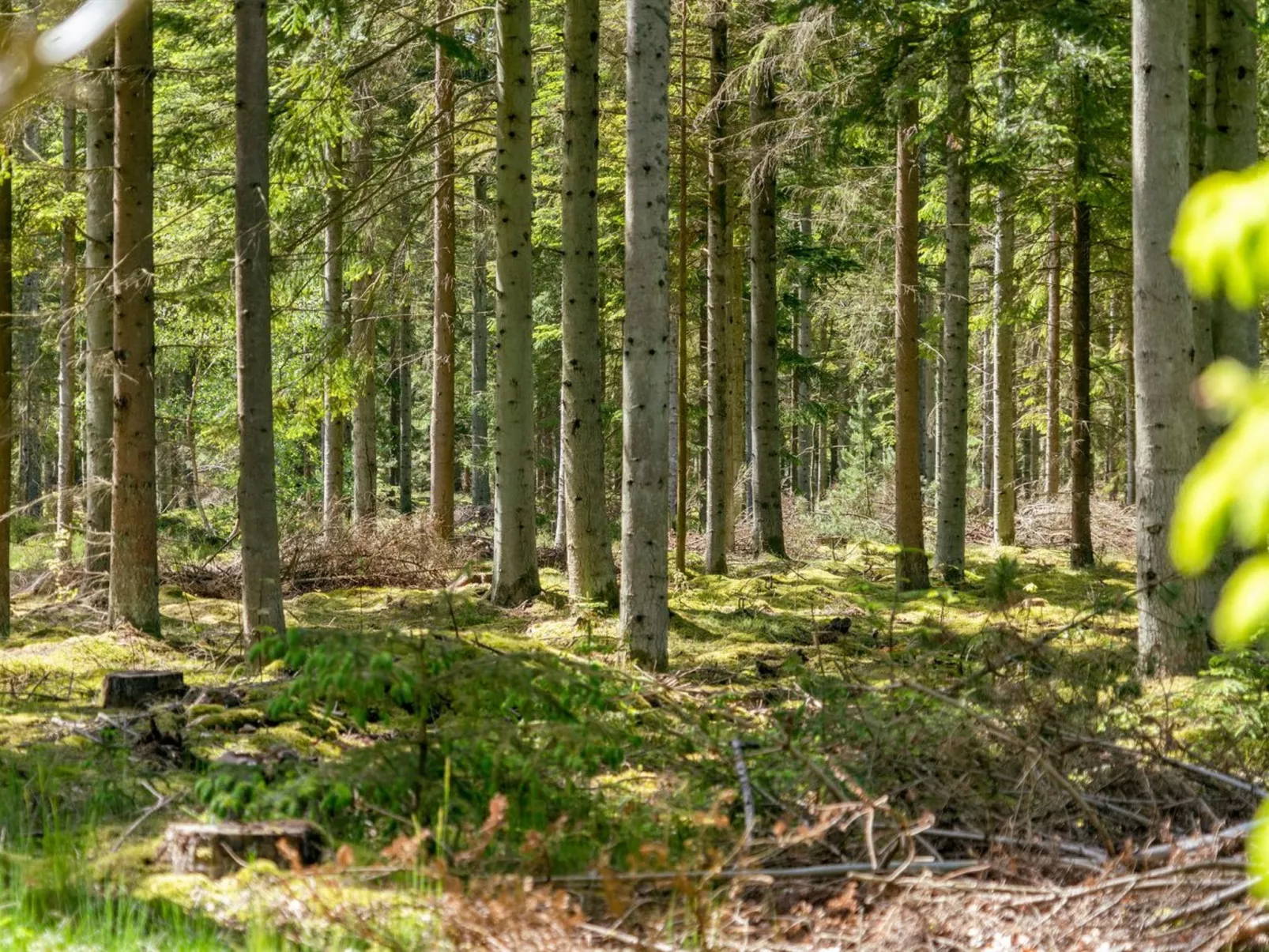 "Sighwith" - 500m from the sea-Buiten