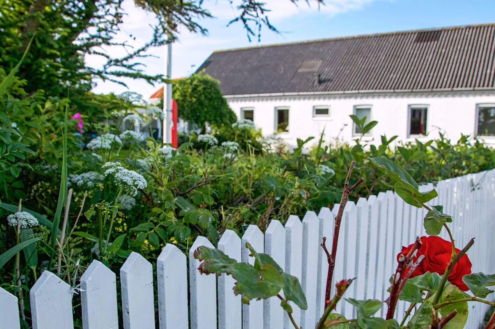 8 persoons vakantie huis in Lemvig-Buitenlucht