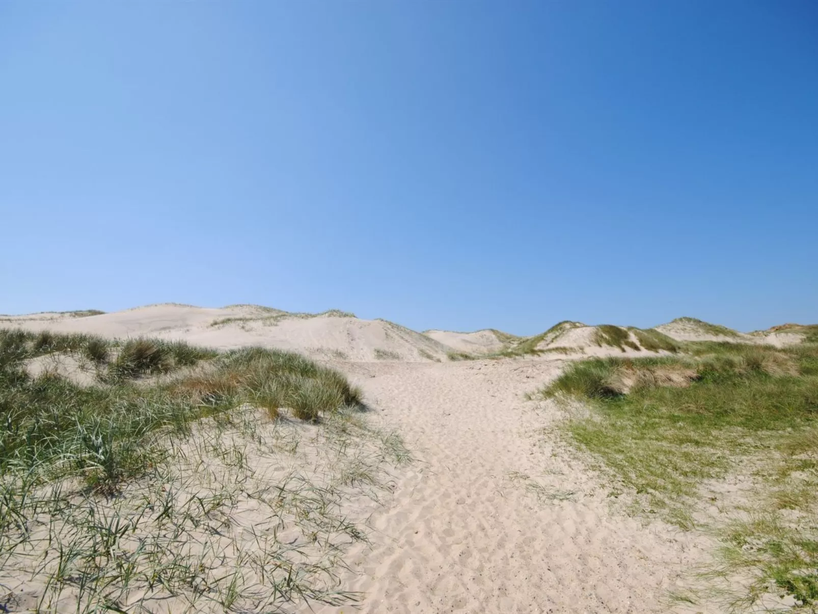 "Gundine" -  from the sea-Buiten