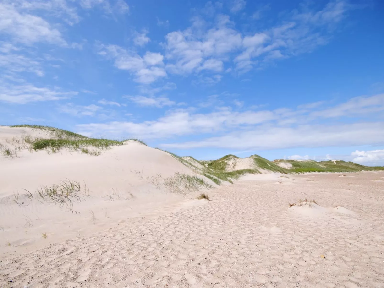 "Gundine" -  from the sea-Buiten