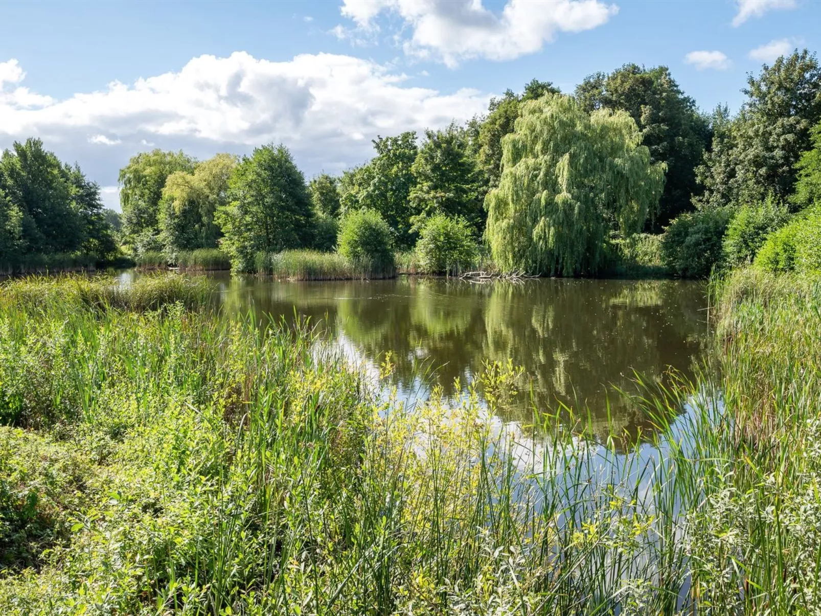 "Elvine" - 2.9km from the sea-Buiten