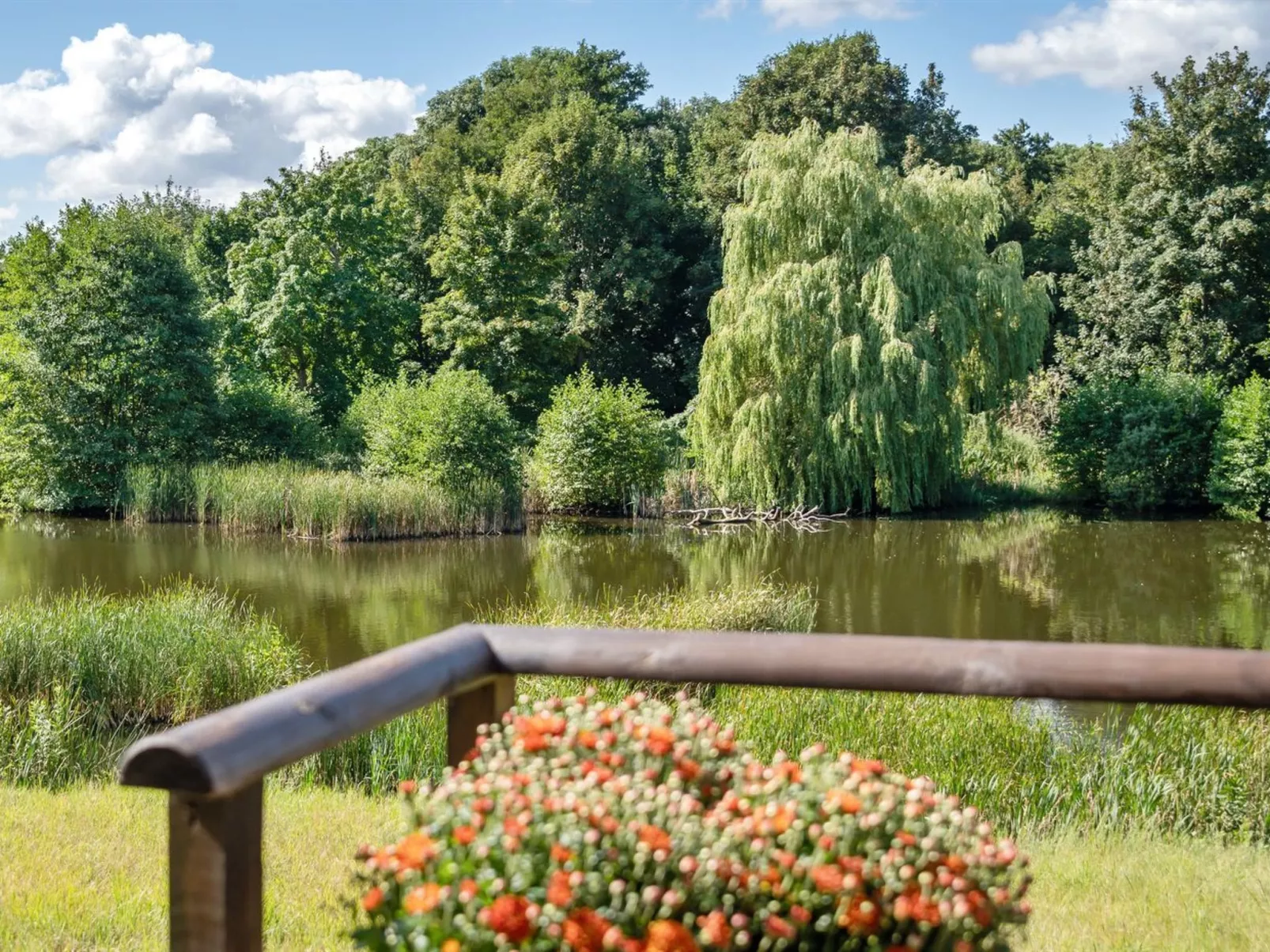 "Elvine" - 2.9km from the sea-Buiten
