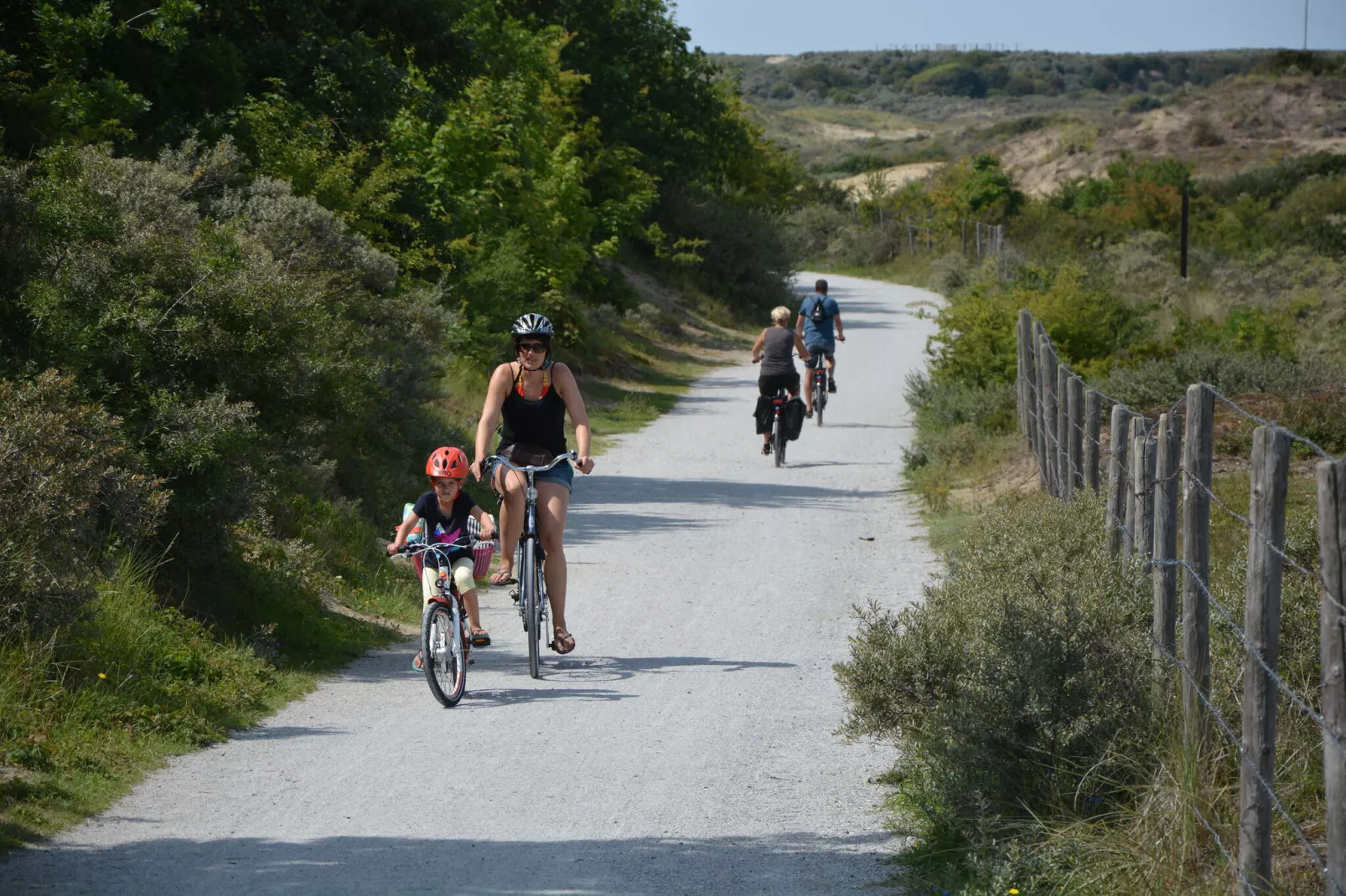 Walhalla aan Zee-Gebieden zomer 1km