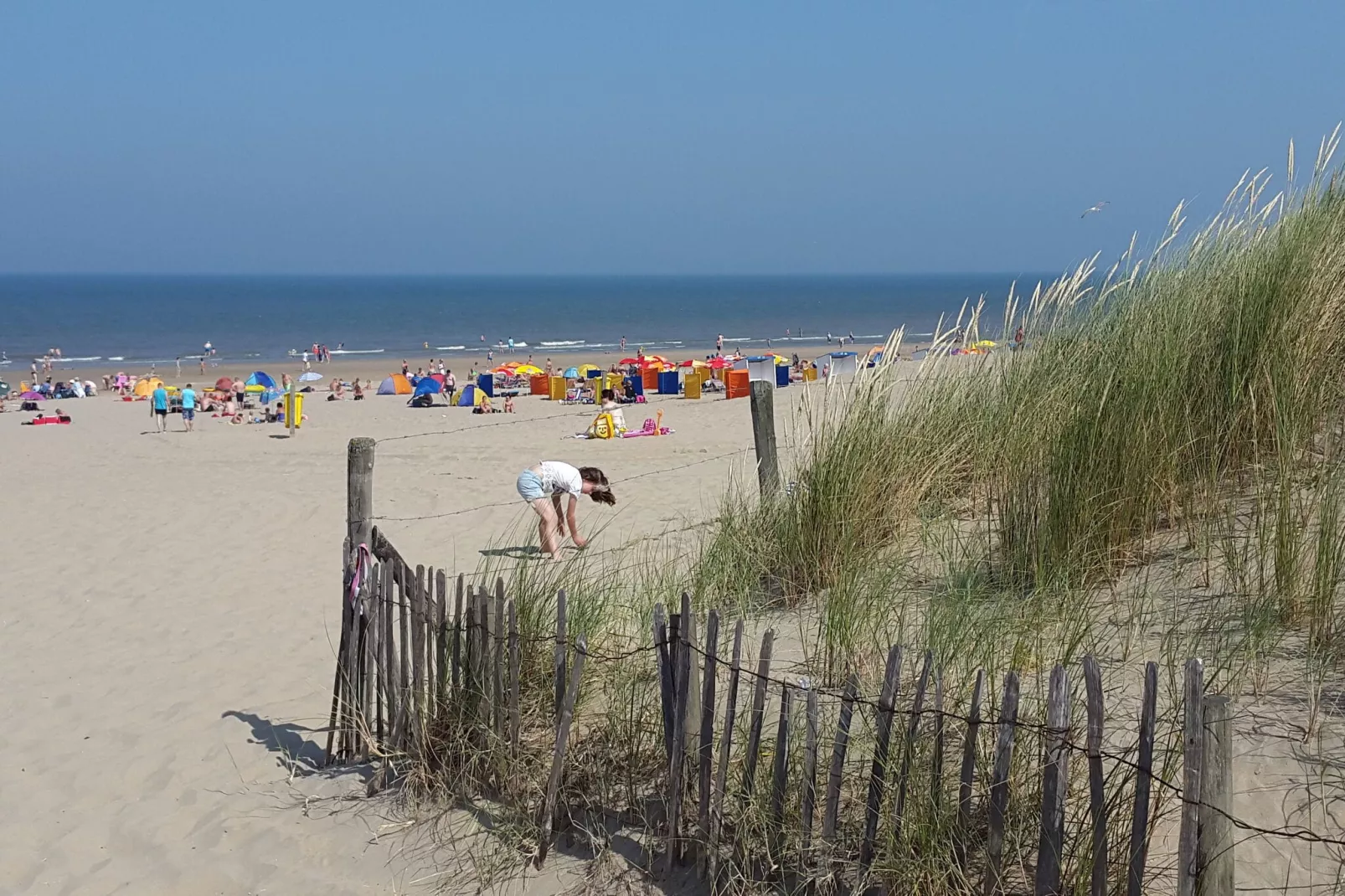 Walhalla aan Zee-Gebieden zomer 1km