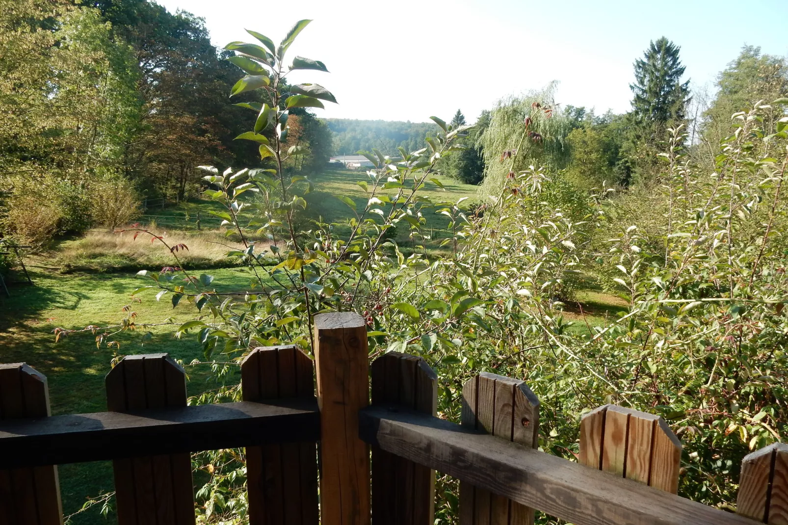 Maison de vacances - Niderviller Loft-Uitzicht zomer