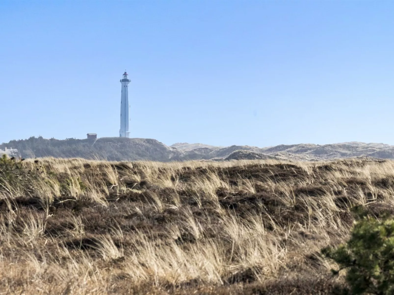 "Hen" - 400m from the sea-Buiten