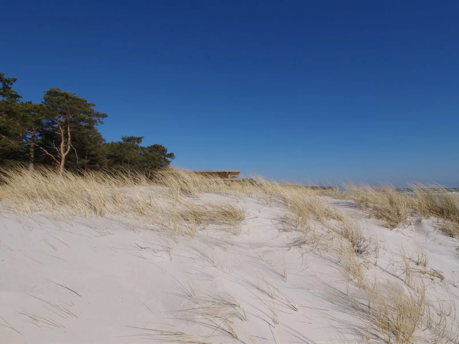 "Klak" - 100m from the sea-Buiten