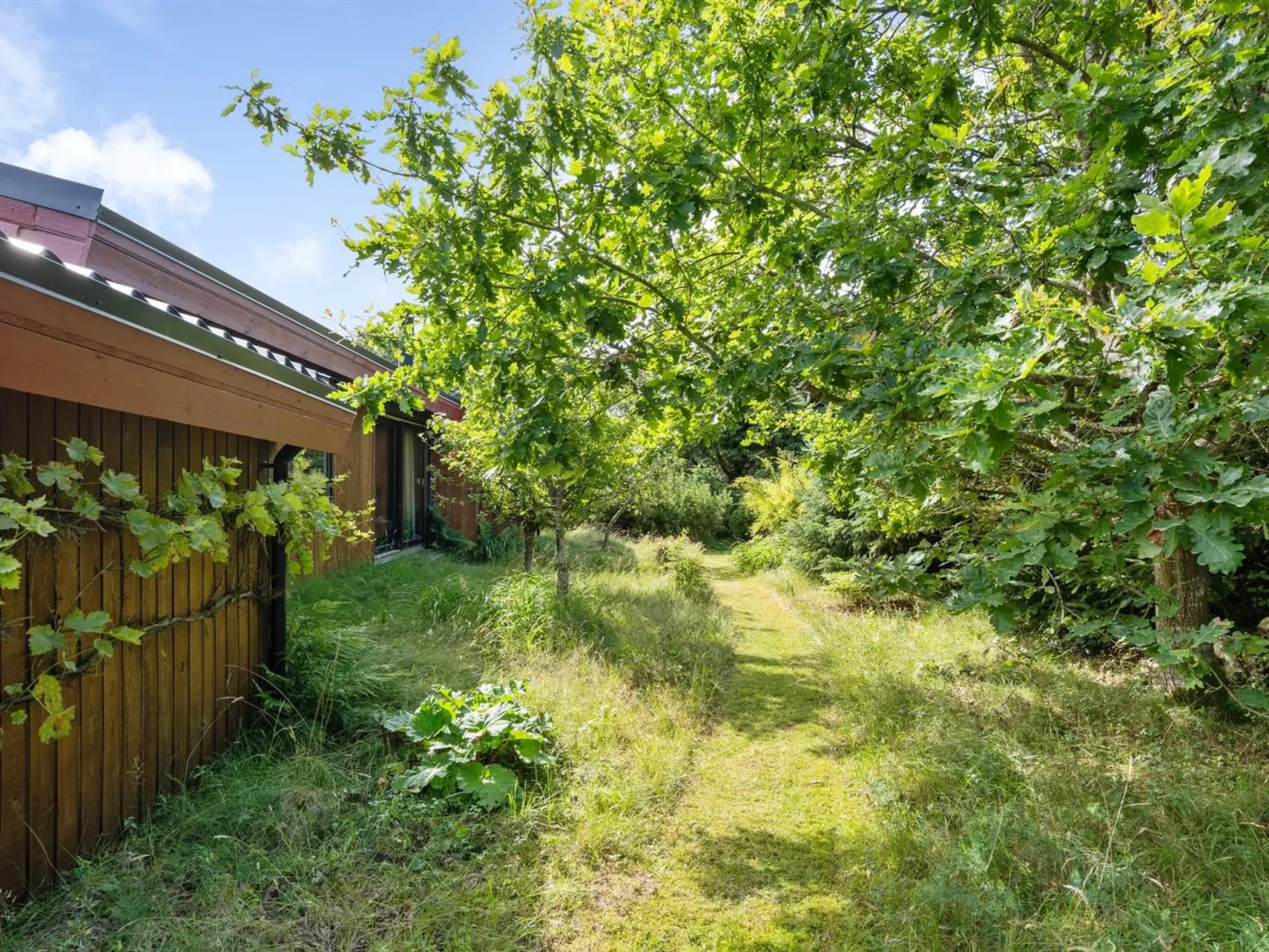 "Sune" - 500m from the sea-Buiten