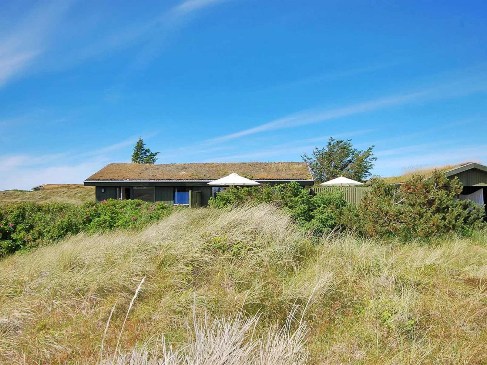 "Ehawee" - 350m from the sea-Buiten