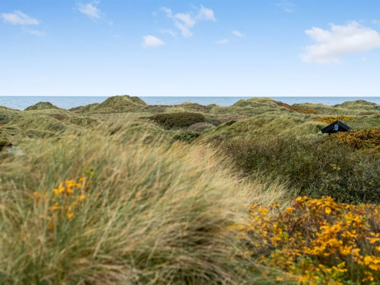 "Ehawee" - 350m from the sea-Buiten