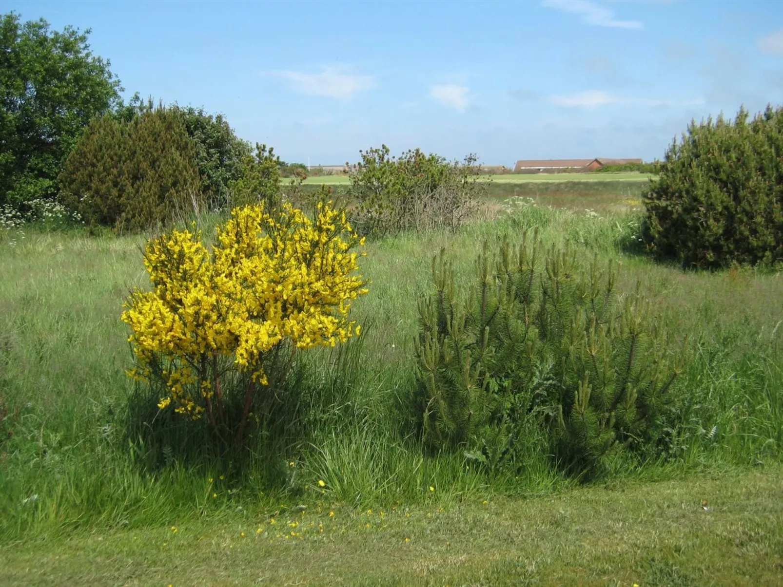 "Karlsefni" - 600m to the inlet-Buiten