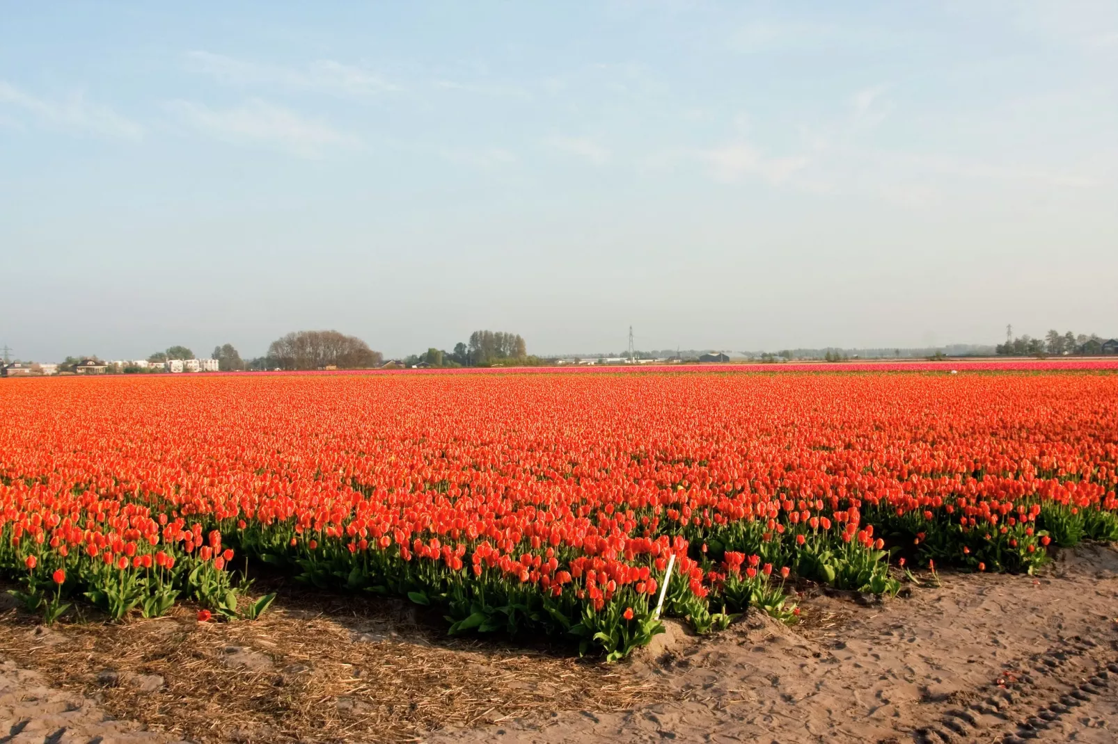 Bungalowpark 't Lappennest 3-Gebieden zomer 20km