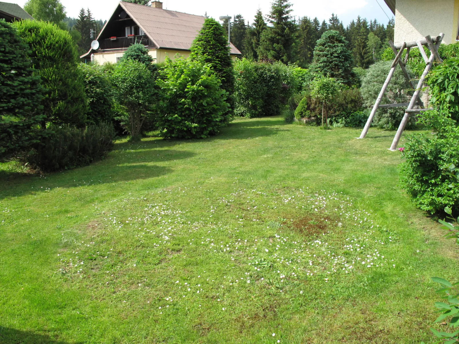 Nový Svět-Buiten