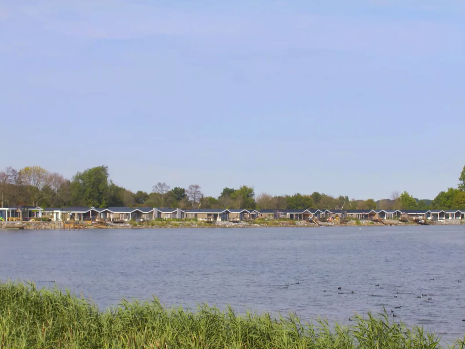 Tiny Lodge 4-Buiten