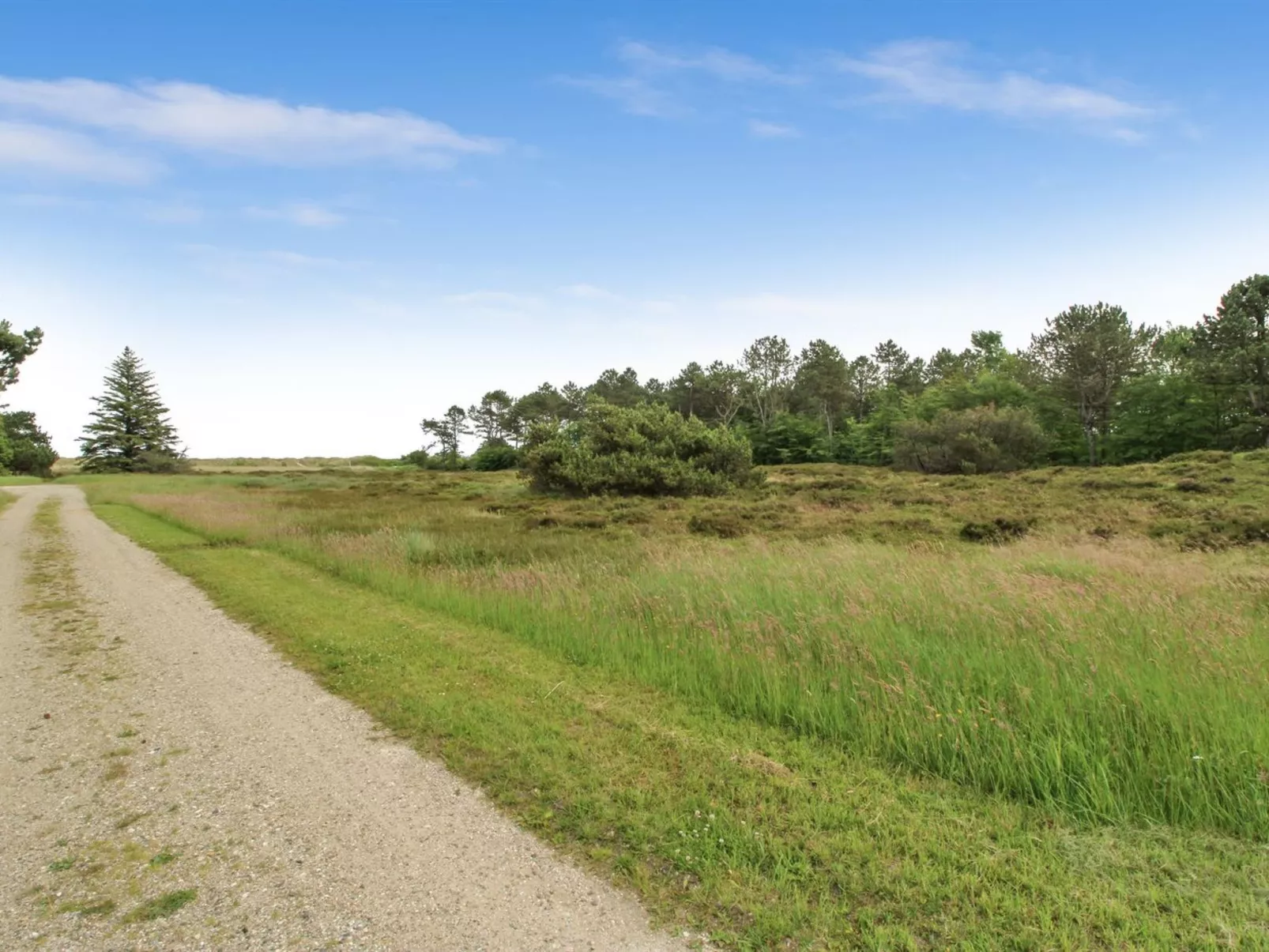 "Flora" - 150m from the sea-Buiten
