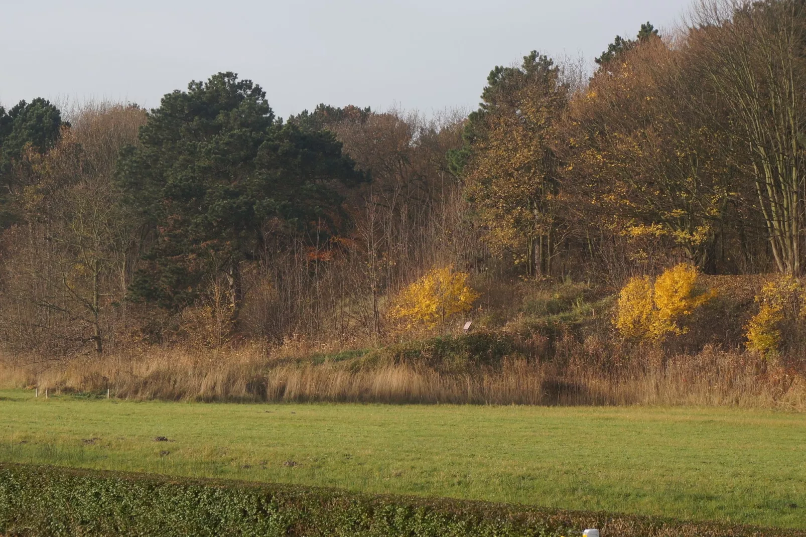 Bungalowpark 't Lappennest 4-Gebieden zomer 1km