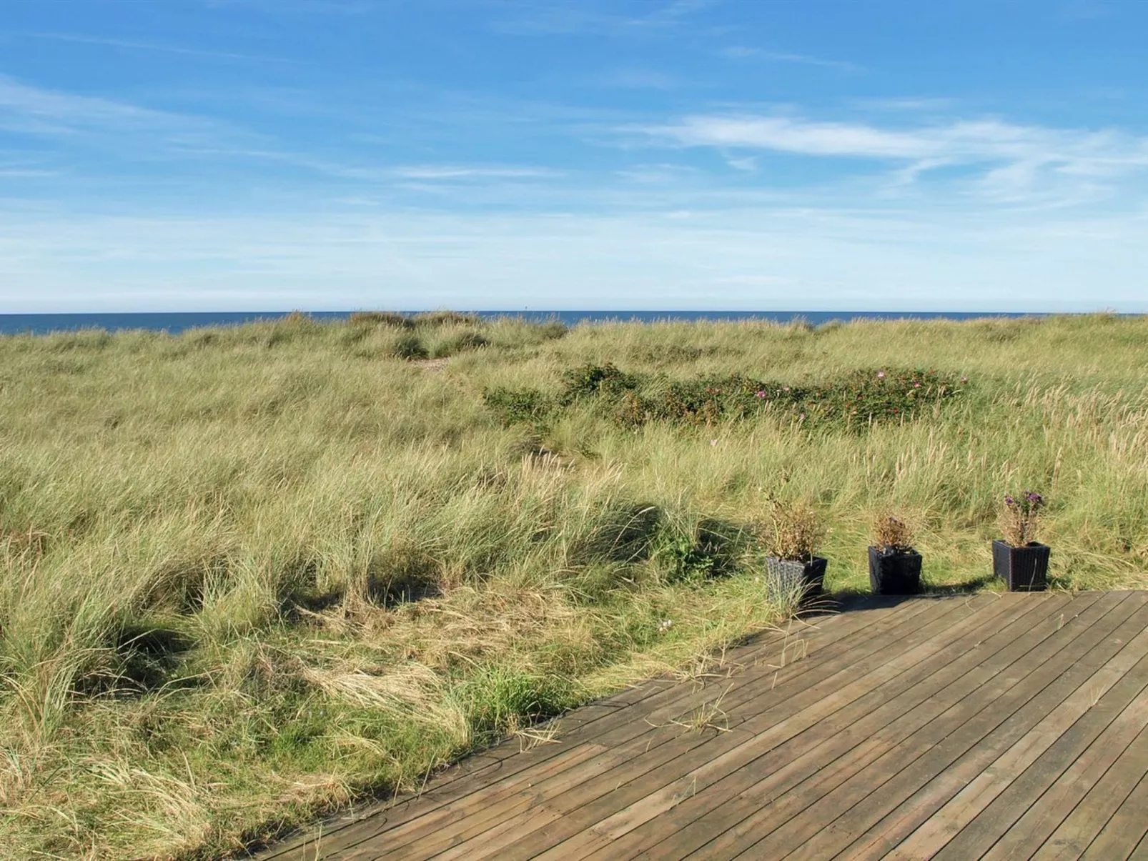 "Stintje" - 20m from the sea-Buiten