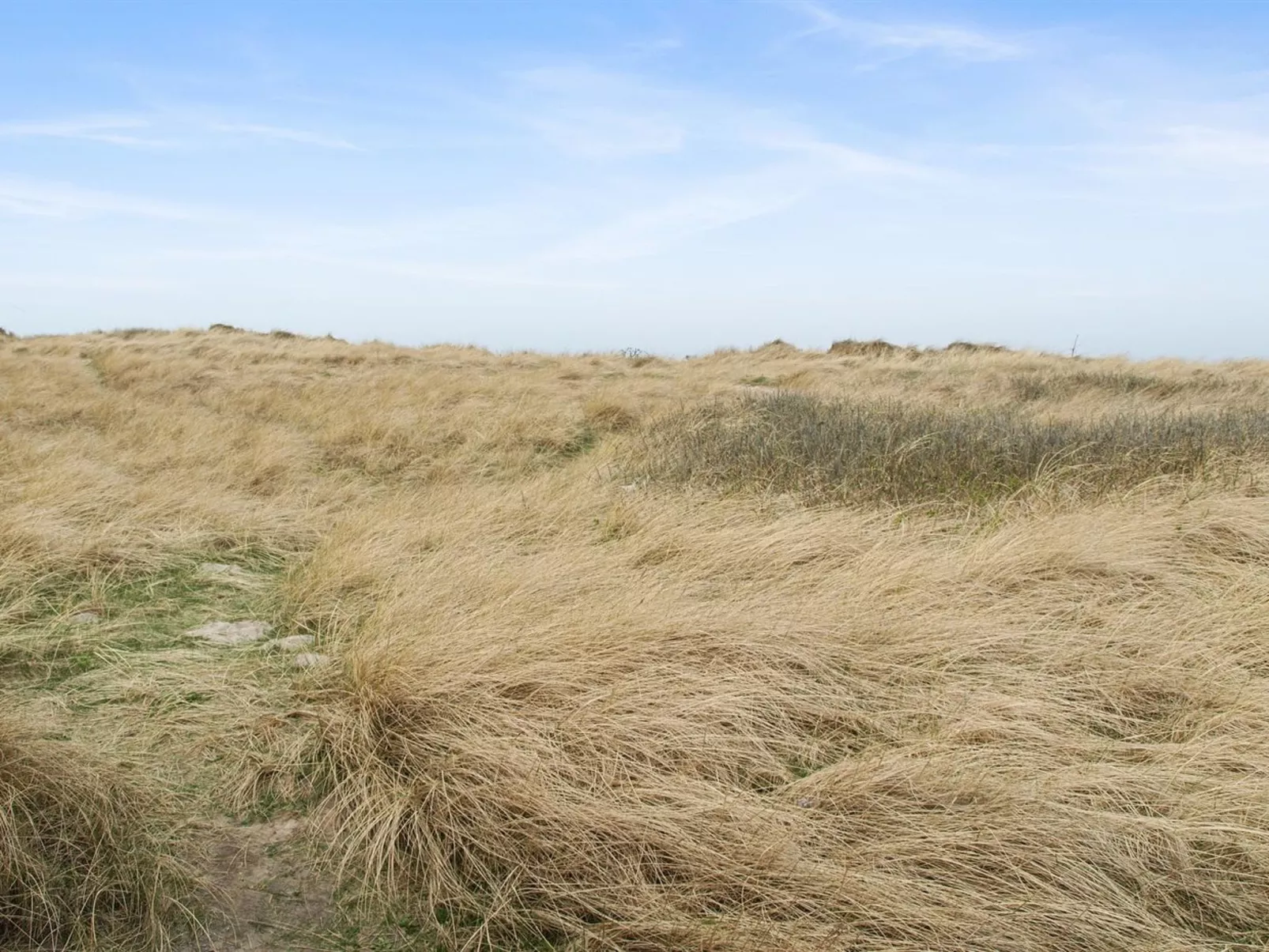 "Stintje" - 20m from the sea-Buiten
