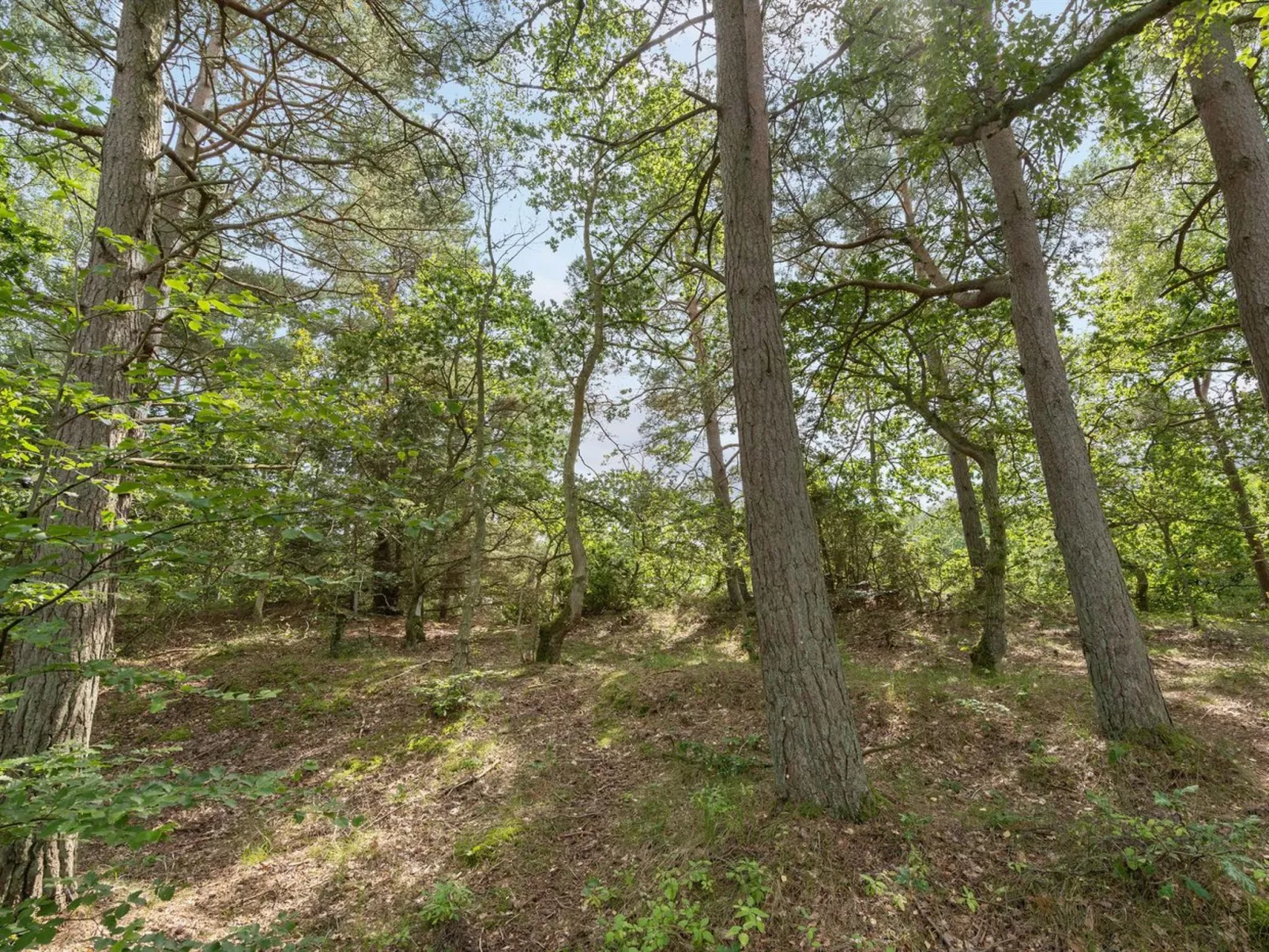 "Ros" - 350m from the sea-Buiten
