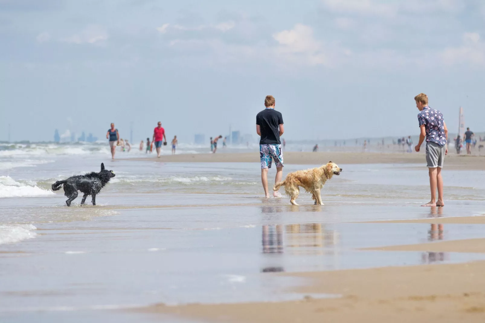 De Raaf van Noordwijk 3-Gebieden zomer 5km