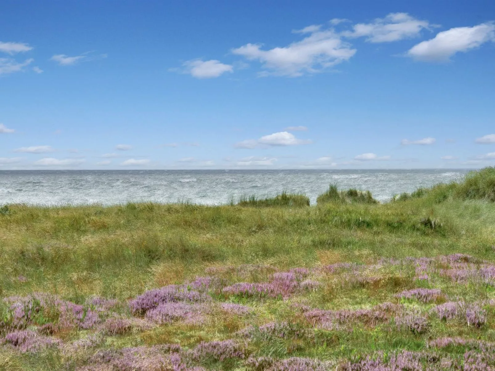 "Lio" - 50m from the sea in Western Jutland-Buiten