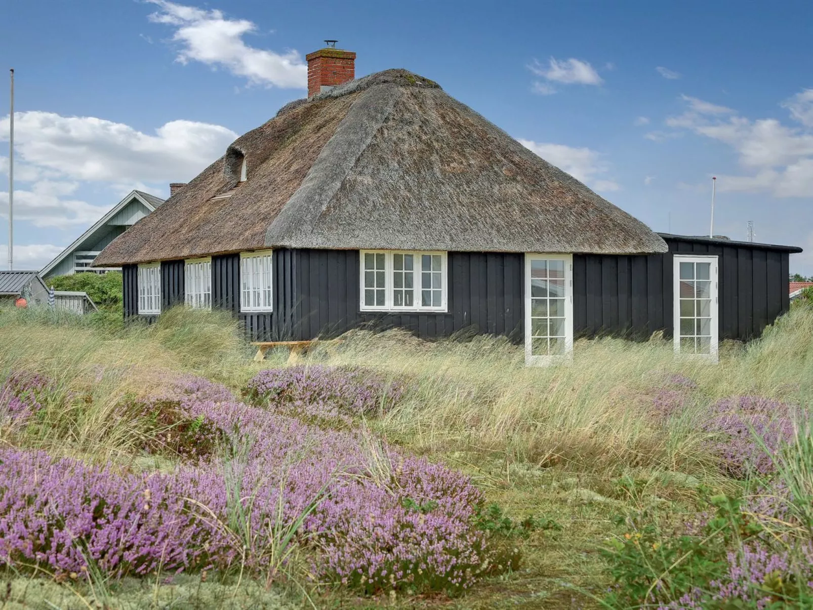"Lio" - 50m from the sea in Western Jutland-Buiten