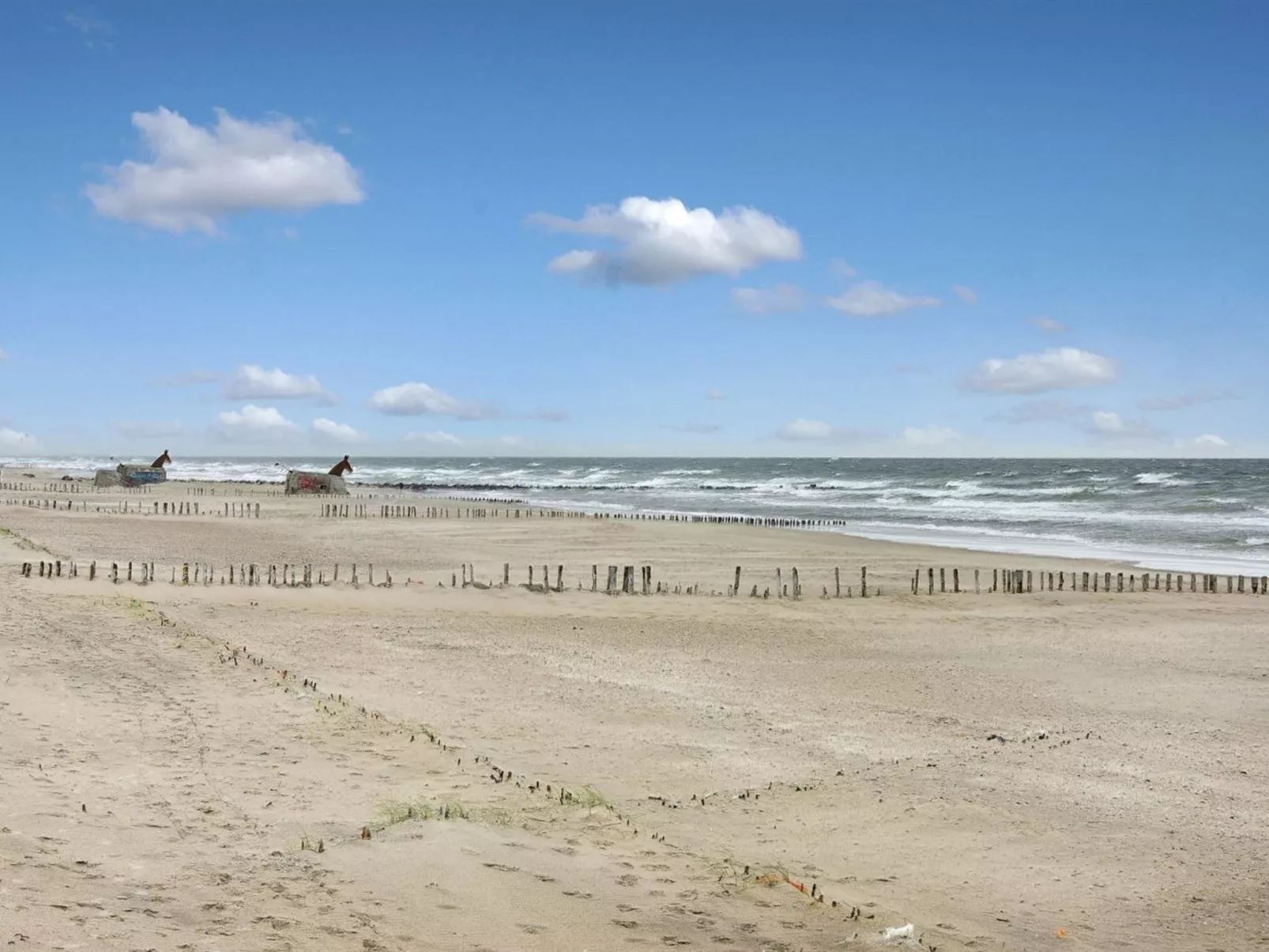 "Lio" - 50m from the sea in Western Jutland-Buiten