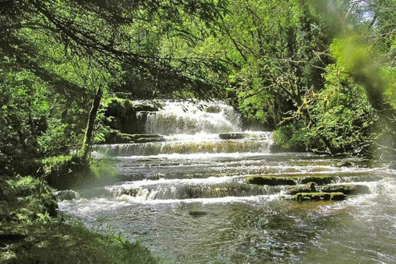 Holiday apartment Tawnylust Lodge in Manorhamilton