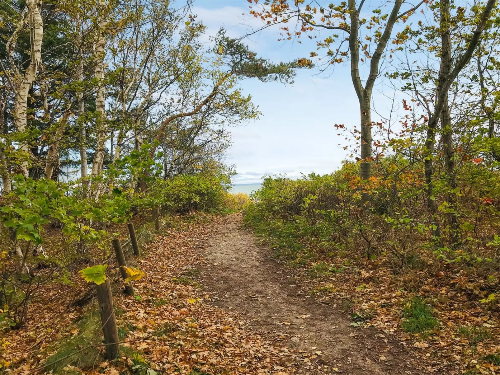 "Hjort" - 100m from the sea-Buiten