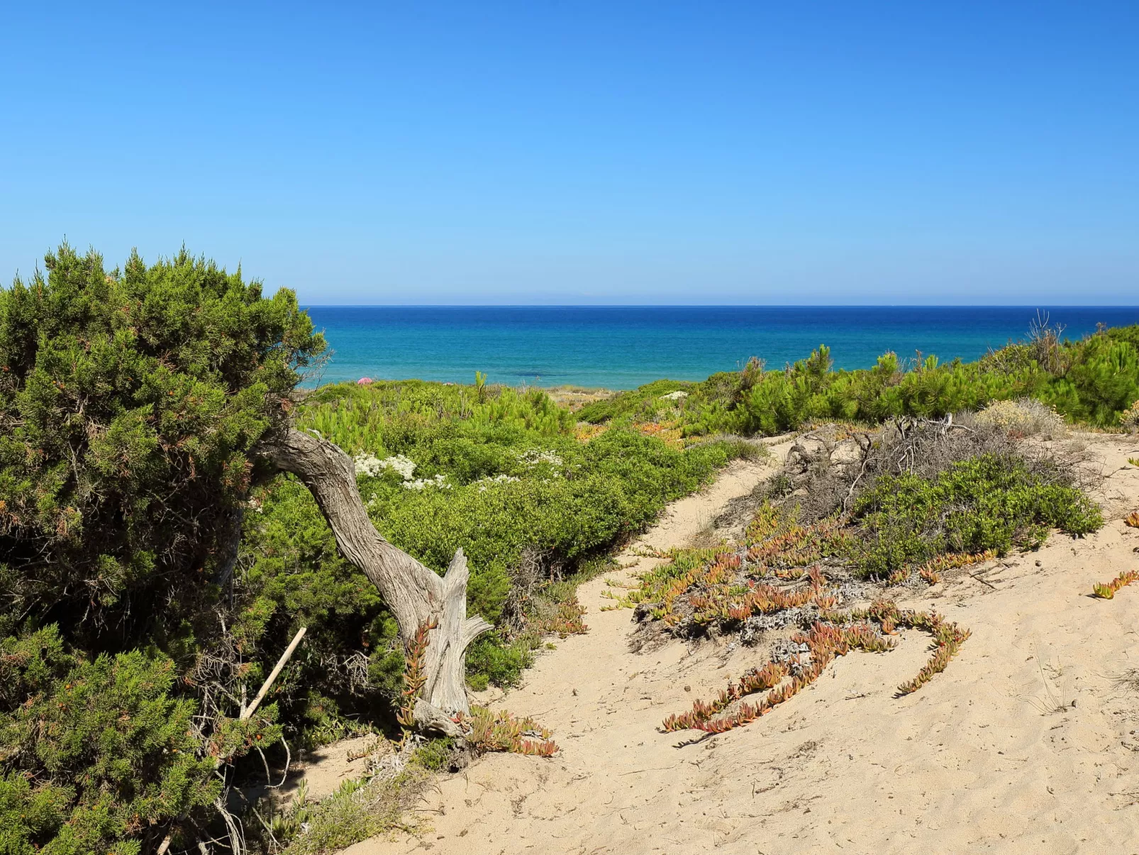 Baia delle Mimose-Buiten