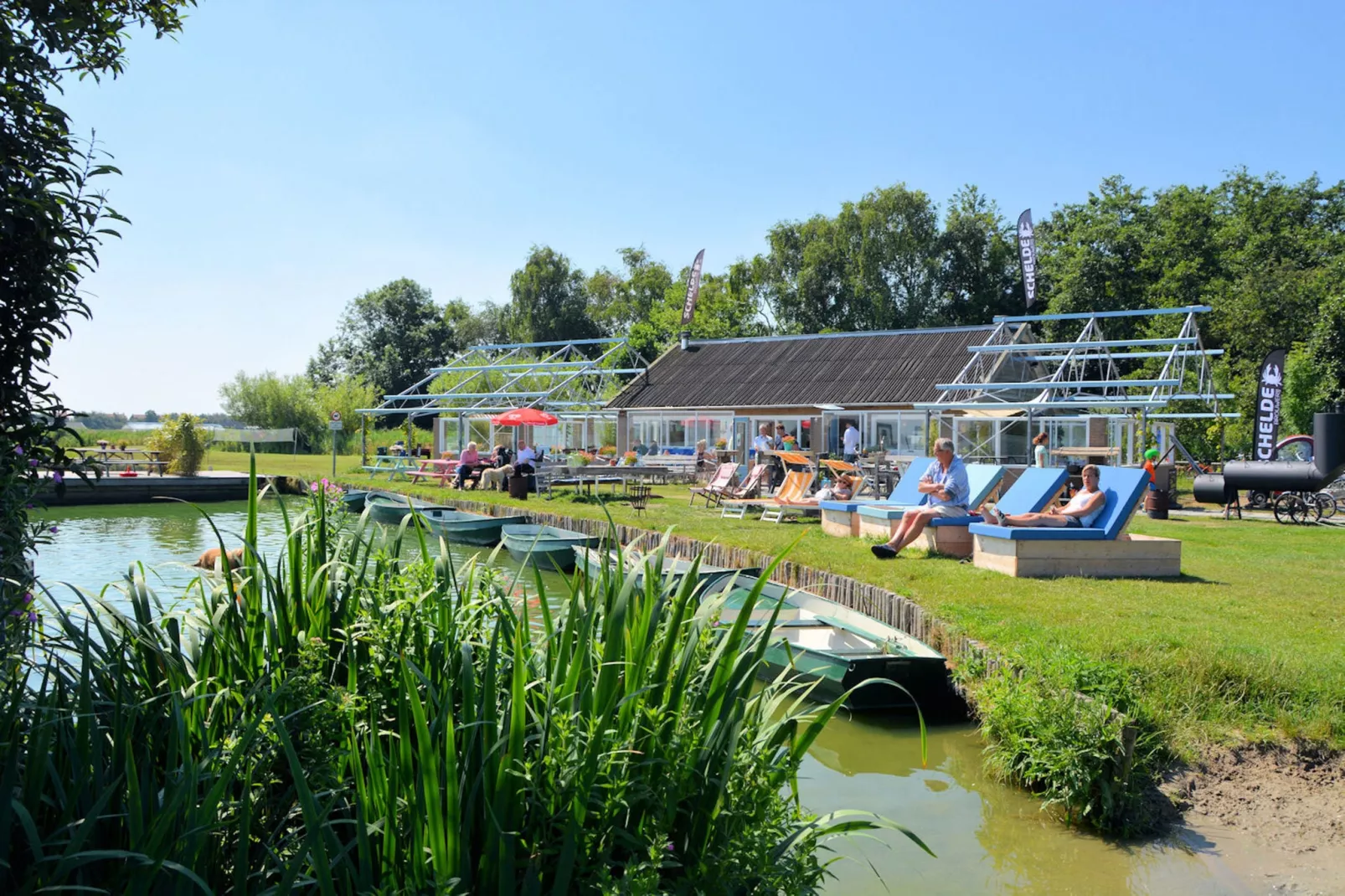 Strandlopertje-Gebieden zomer 1km