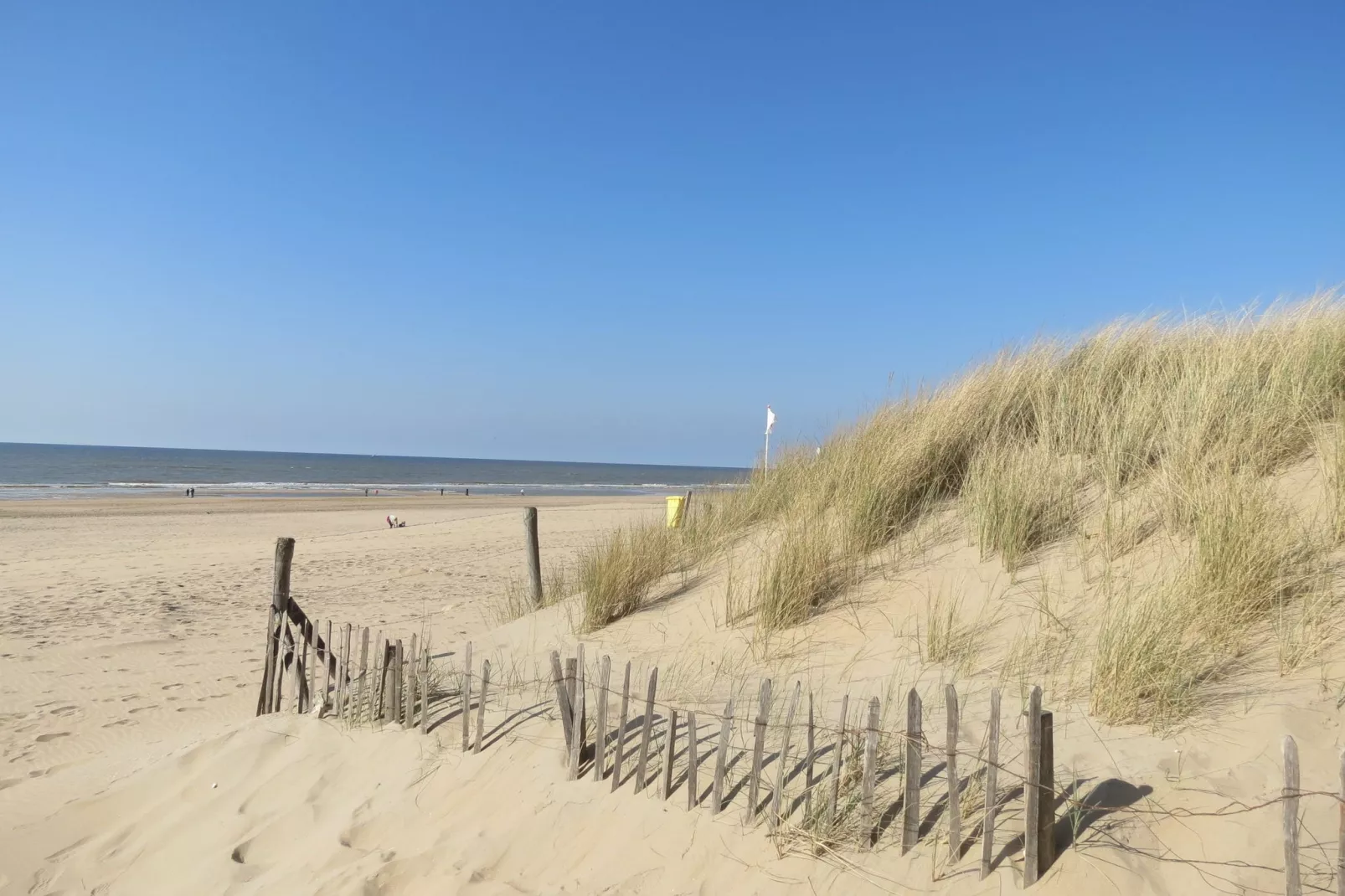 Strandlopertje-Gebieden zomer 5km