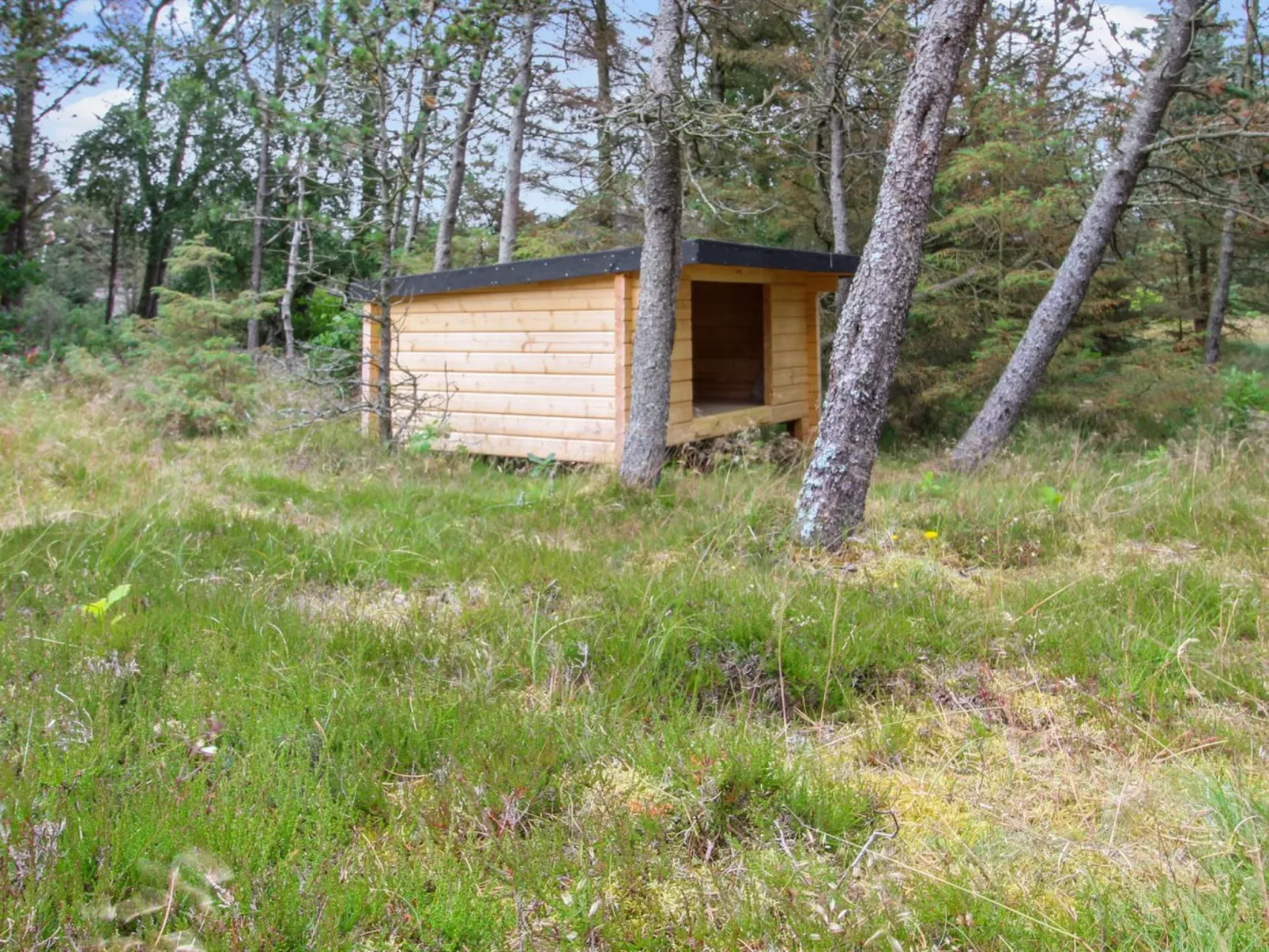 "Tove" - 1.5km from the sea-Buiten