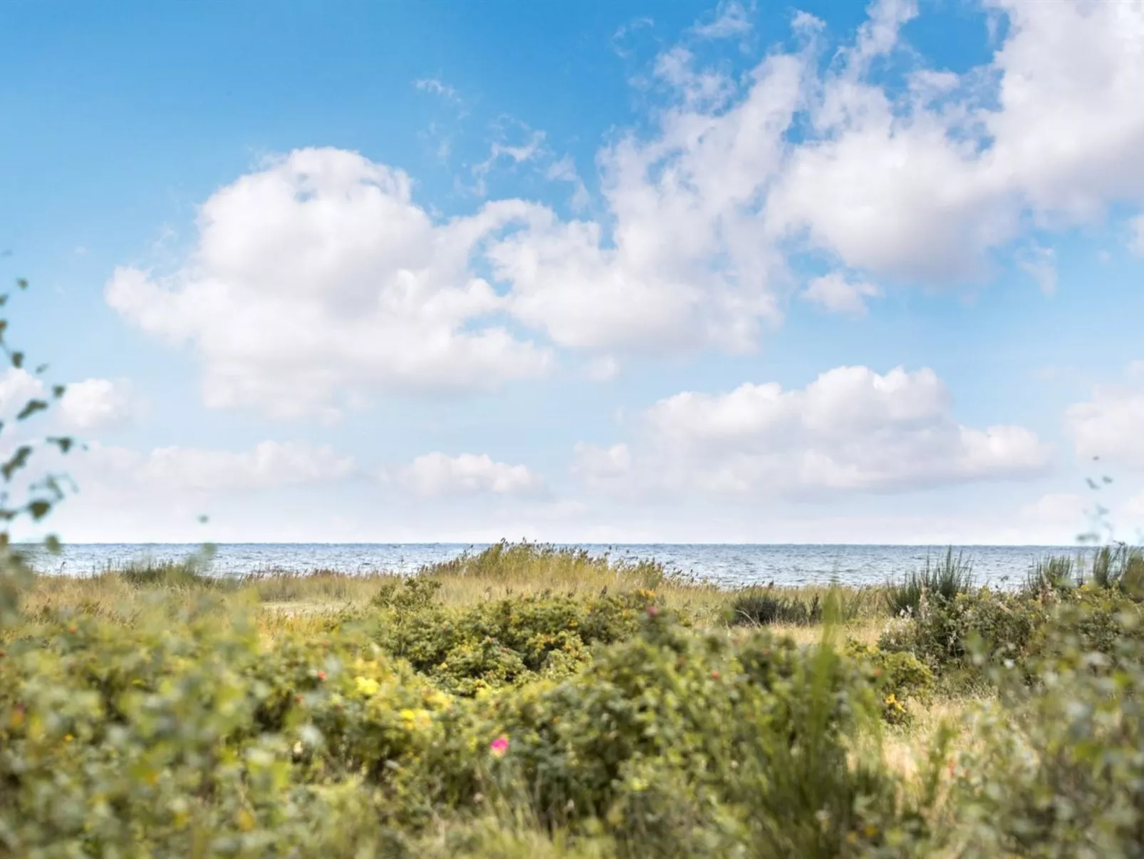 "Mumme" - 100m from the sea-Buiten