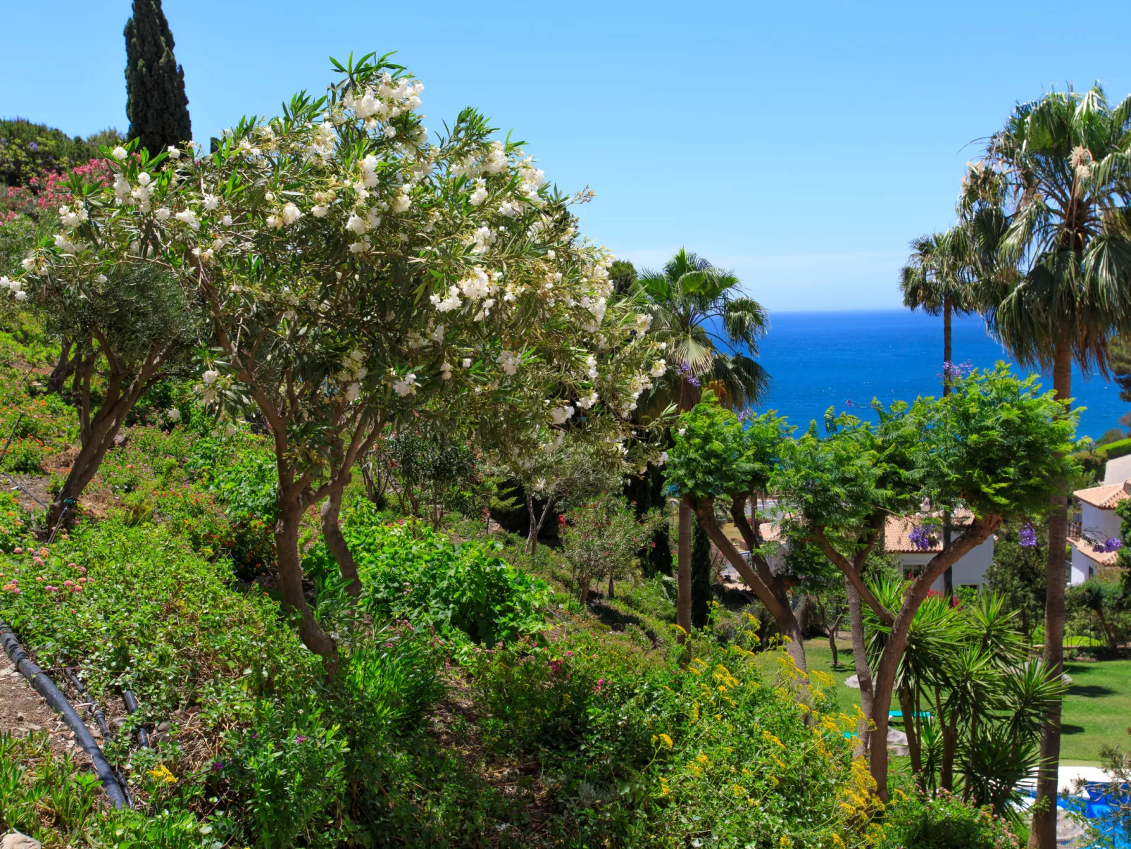 Ladera del Mar-Buiten