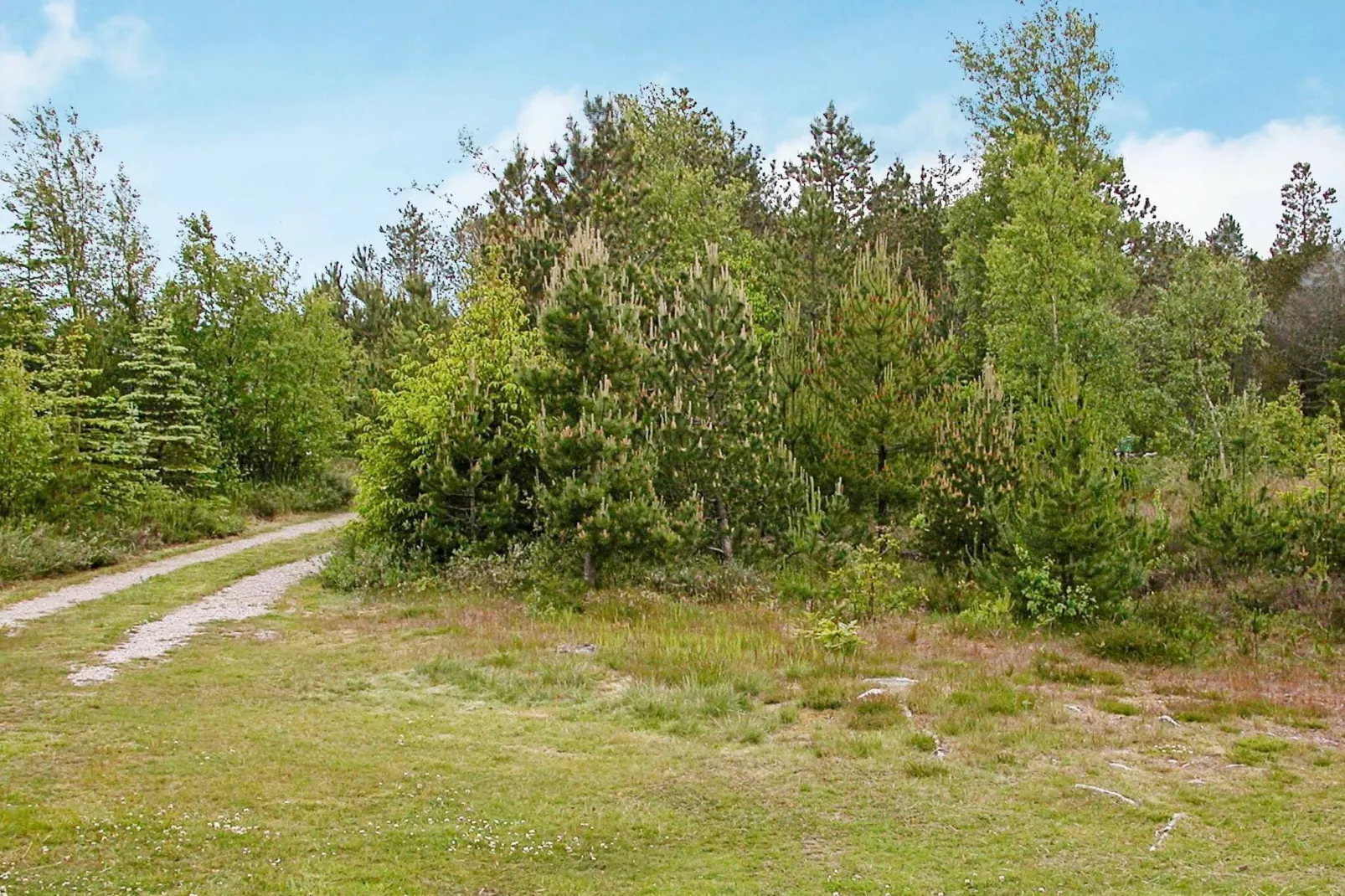 8 persoons vakantie huis in Ålbæk-By Traum-Uitzicht