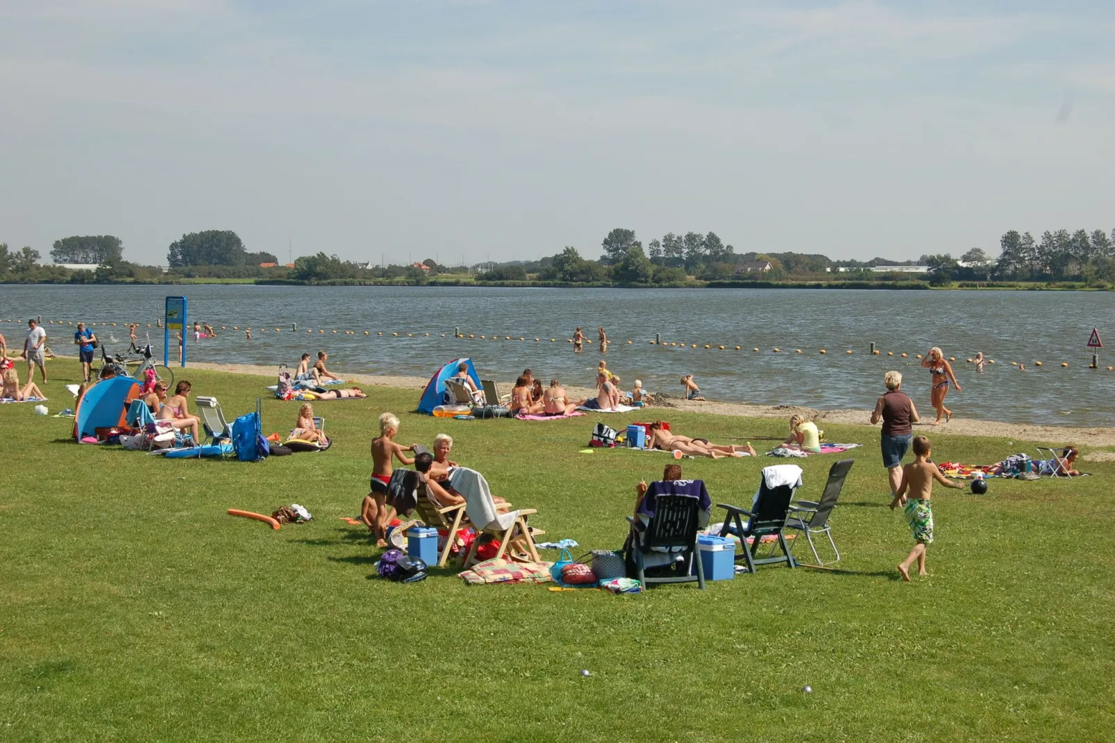 Bos-Lodge-Gebieden zomer 1km