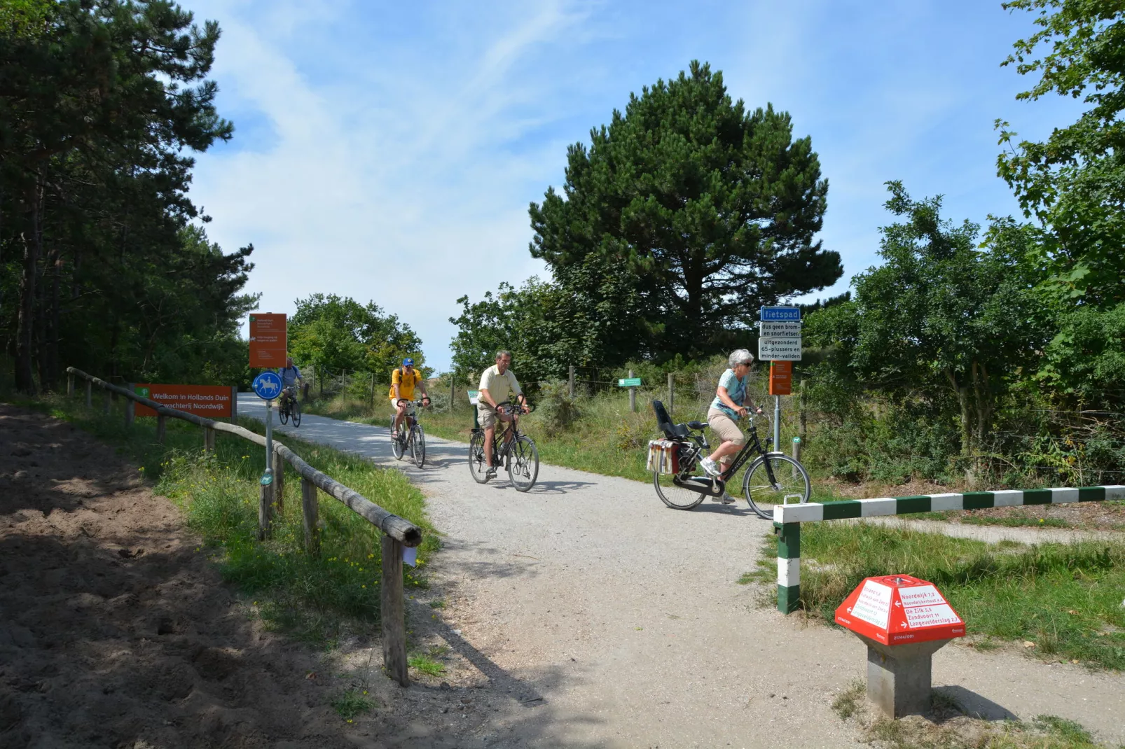 Bos-Lodge-Gebieden zomer 20km