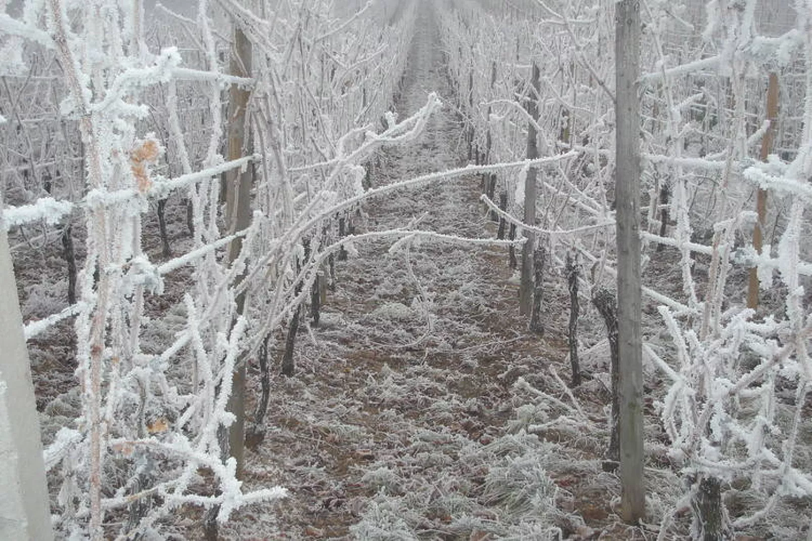 La Stub-Gebied winter 5km