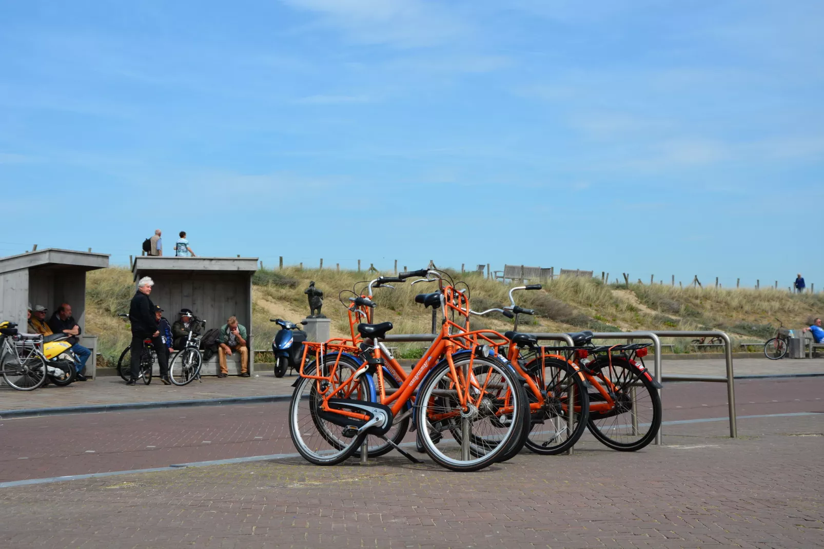 Bos-Lodge-Gebieden zomer 20km