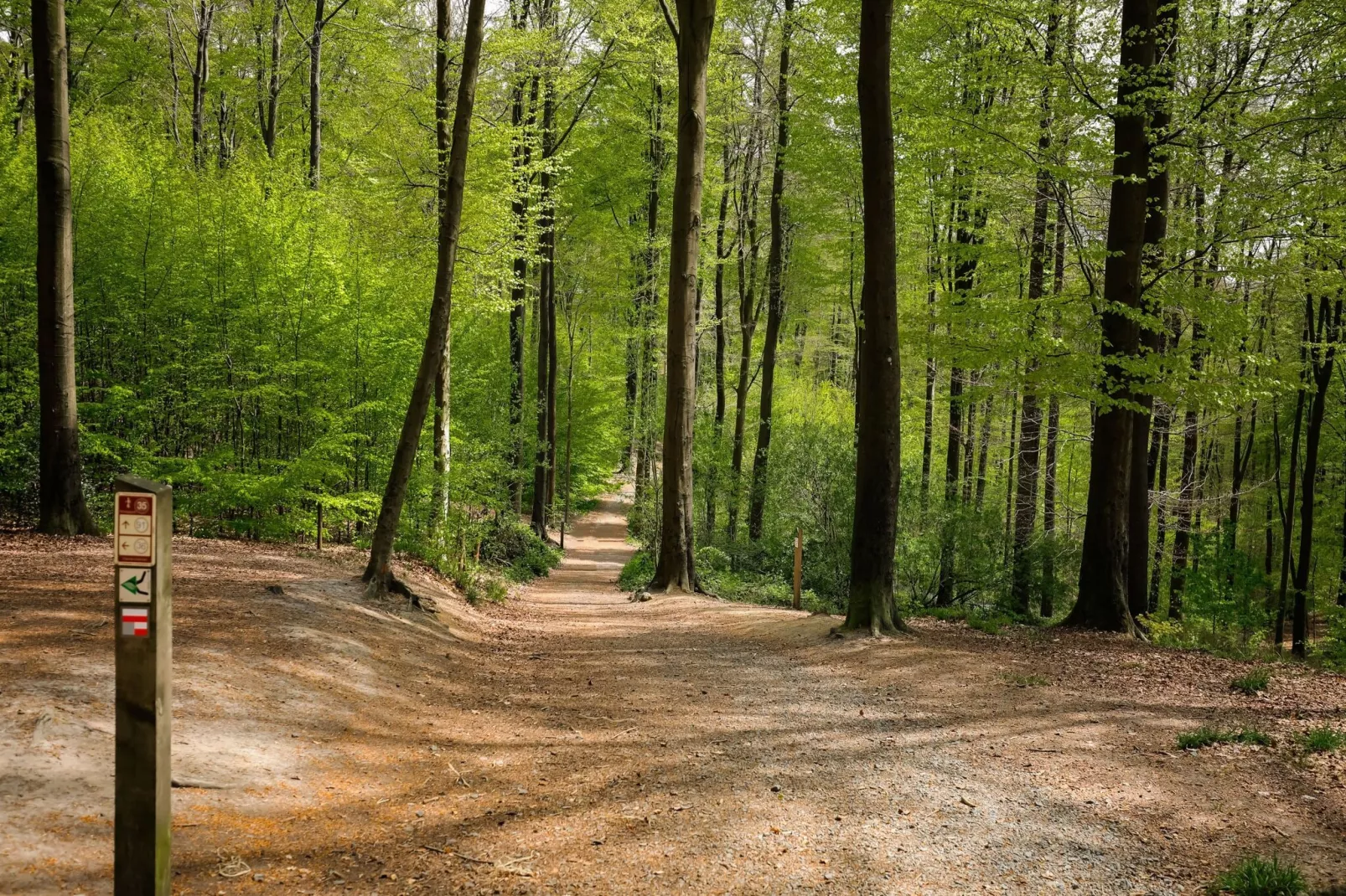 De Kwaremont-Gebieden zomer 5km