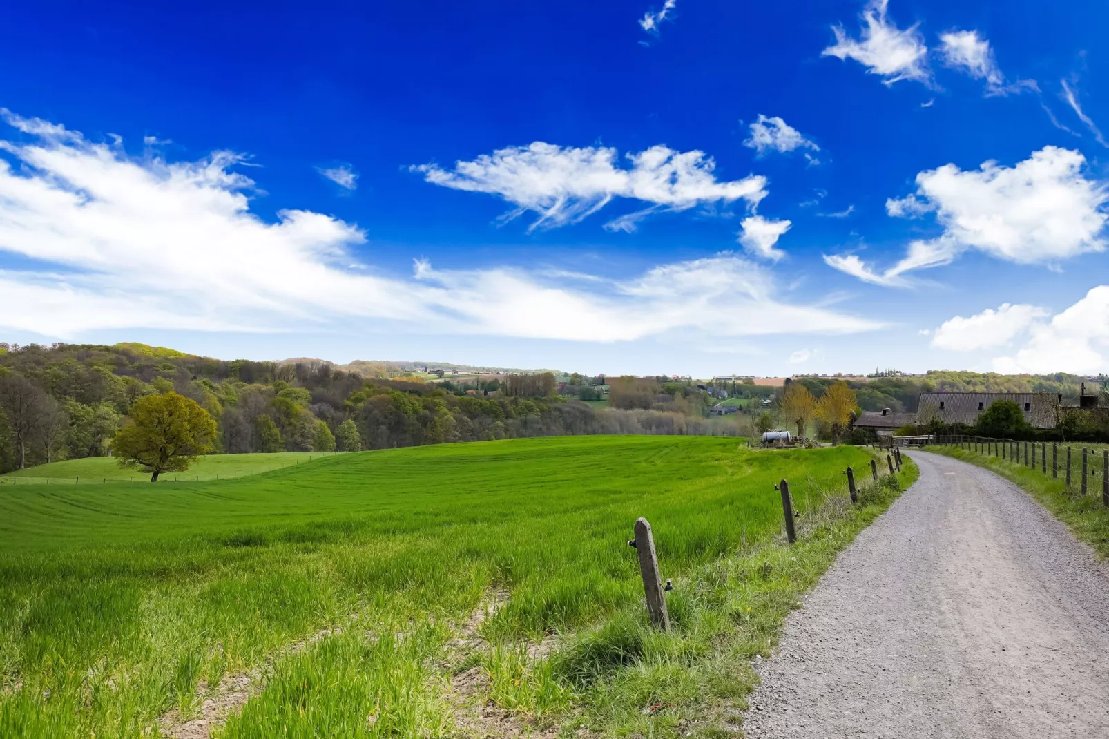 De Kwaremont-Gebieden zomer 5km